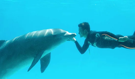 Imagen de Mundo Marino