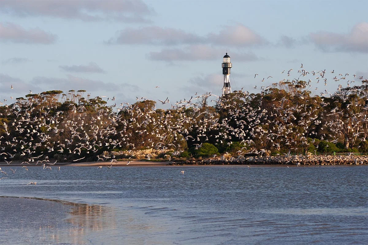 Imagen de Punta Rasa