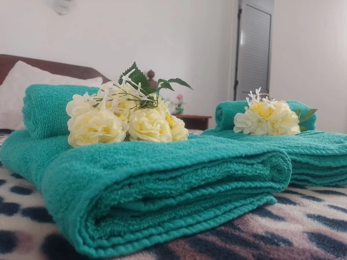 Imagen de la galería 6