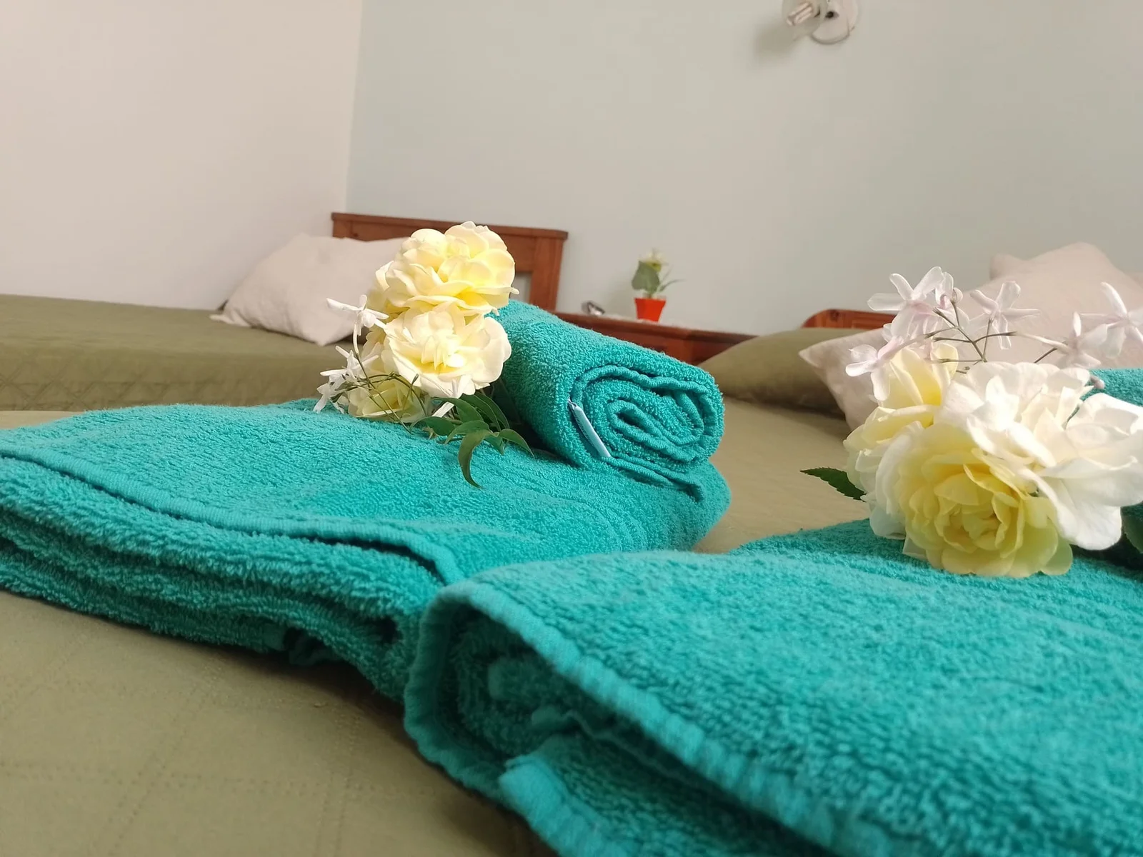 Imagen de la galería 8