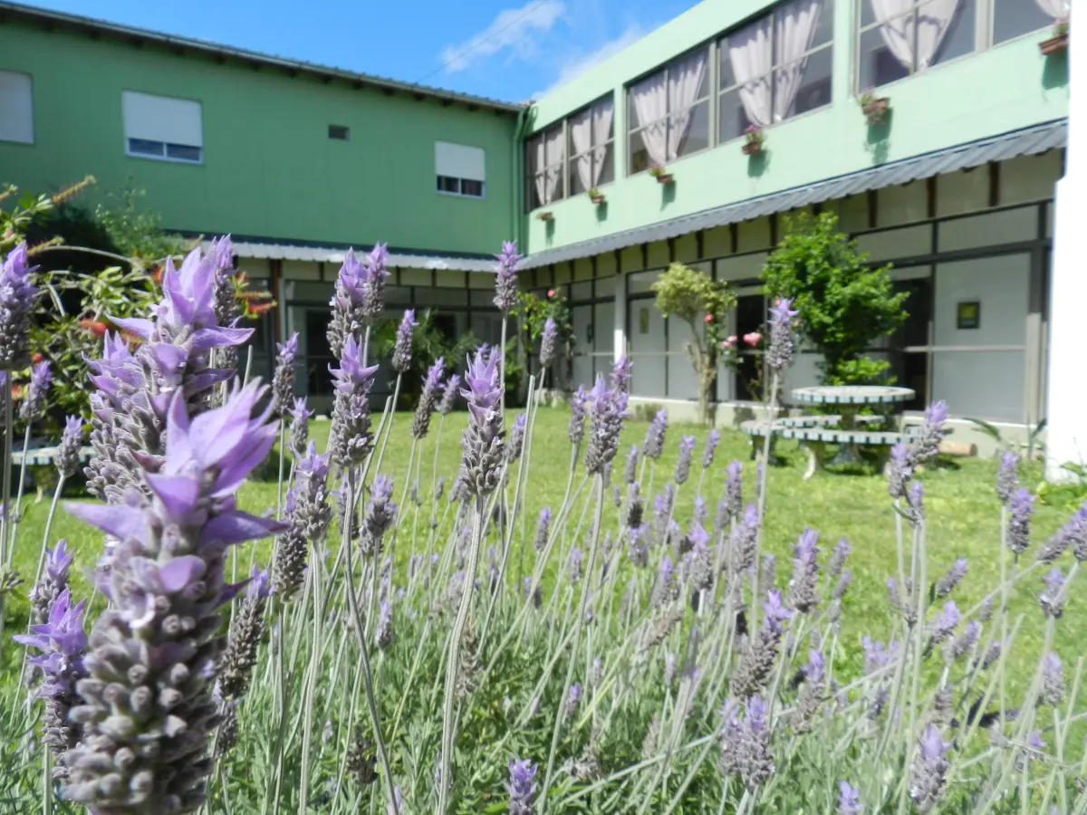 Imagen de la galería 5